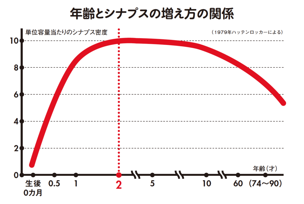 シナプス